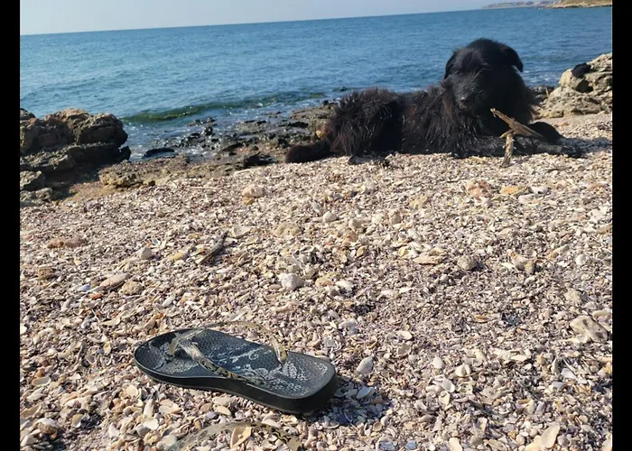 Breathe בית הארחה 4*