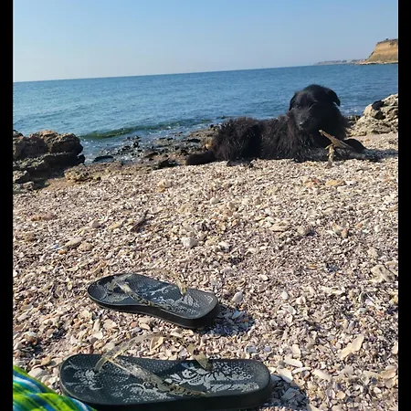 Breathe Affittacamere 4*